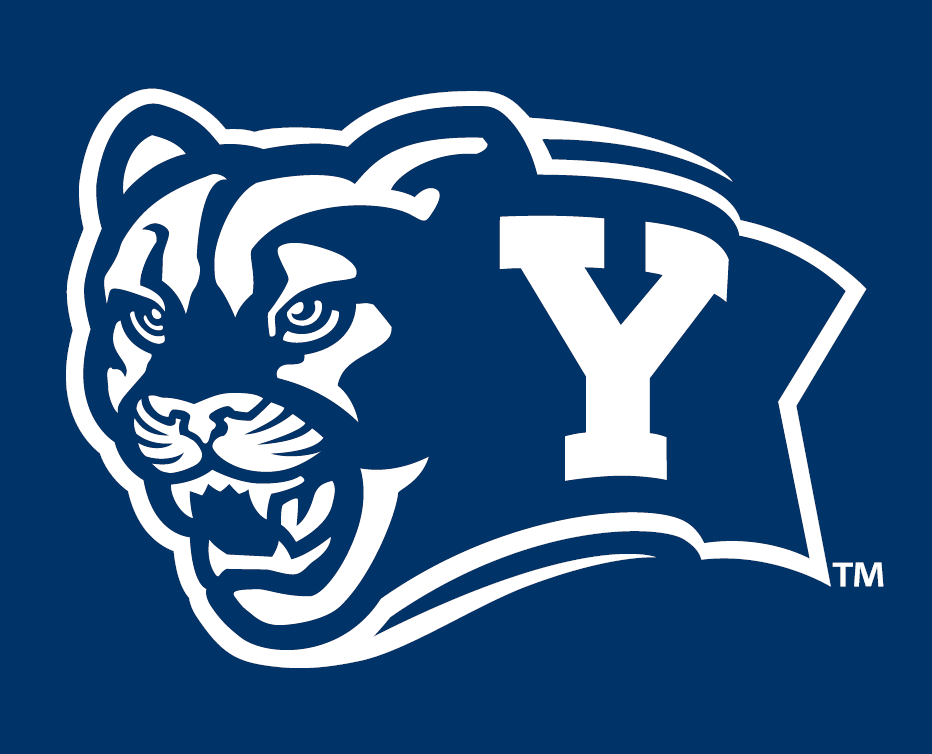 Brigham Young Cougars 2005-Pres Alternate Logo v7 iron on transfers for clothing